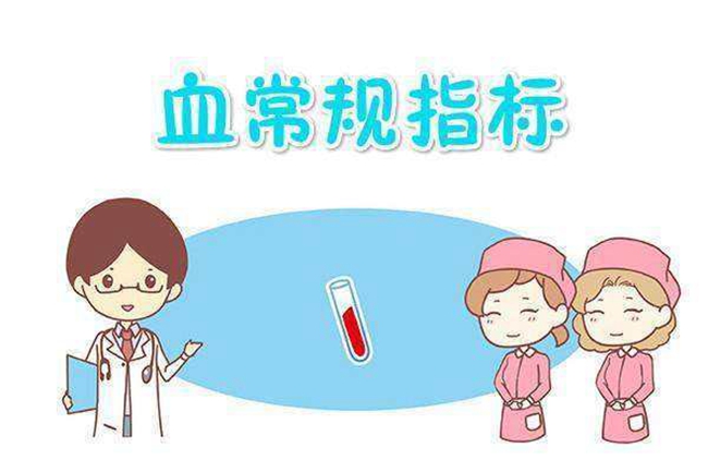 888集团科技